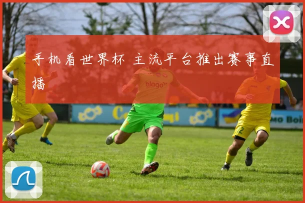 手机看世界杯 主流平台推出赛事直播