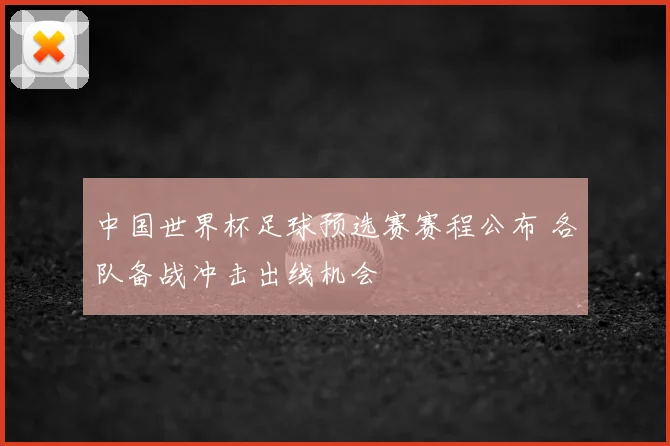 中国世界杯足球预选赛赛程公布 各队备战冲击出线机会