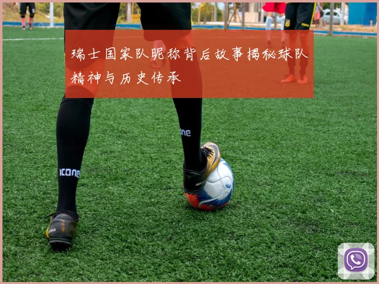 瑞士国家队昵称背后故事揭秘球队精神与历史传承