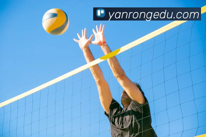 leyu乐鱼网页版在线登录APP 高清赛事图